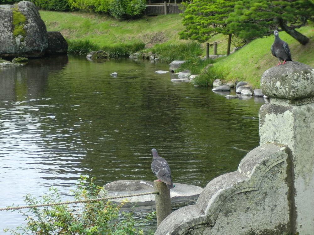 Suizenji Comfort Hotel Kumamoto Eksteriør billede